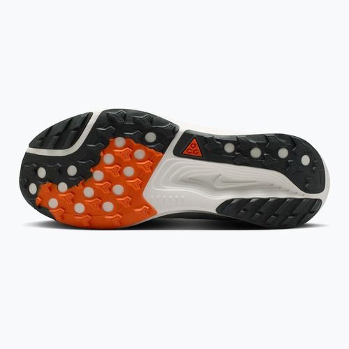 Vyriški bėgimo batai Nike ACG Pegasus Trail jade horizon/light silver/phantom