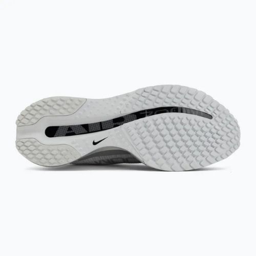 Vyriški bėgimo batai Nike Pegasus Premium photon dust/metallic Silver/black
