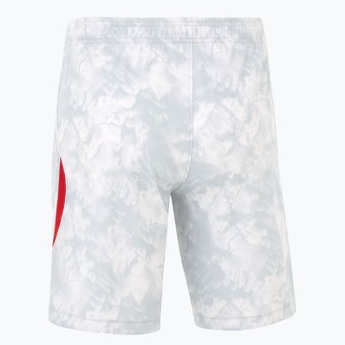 Vyriški futbolo šortai Nike Dri-Fit Poland Stadium Home white/field silver