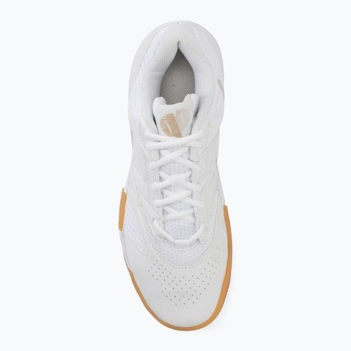 Vyriški teniso batai Nike Court Lite 4 White/Summit White/Linen/Light Orewood Brown