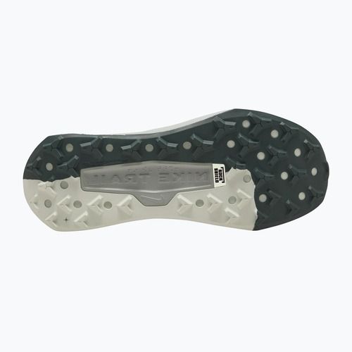 Vyriški bėgimo batai Nike Wildhorse 10 spruce fog/sea glass/black spruce