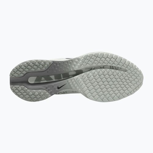 Moteriški bėgimo batai Nike Pegasus Premium summit white/grey fog/metallic silver