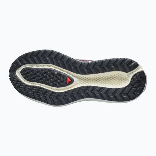 Moteriški bėgimo batai Salomon Aero Glide 4 GRVL huckleberry/black