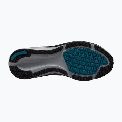 Vyriški bėgimo batai Nike Pegasus 42 GORE-TEX light smoke grey/smokey blue/bright spruce