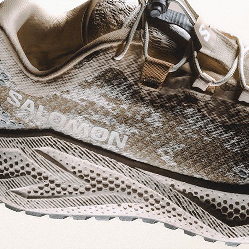 Moteriški bėgimo batai Salomon Aero Glide 4 GRVL tapioca/desert tan
