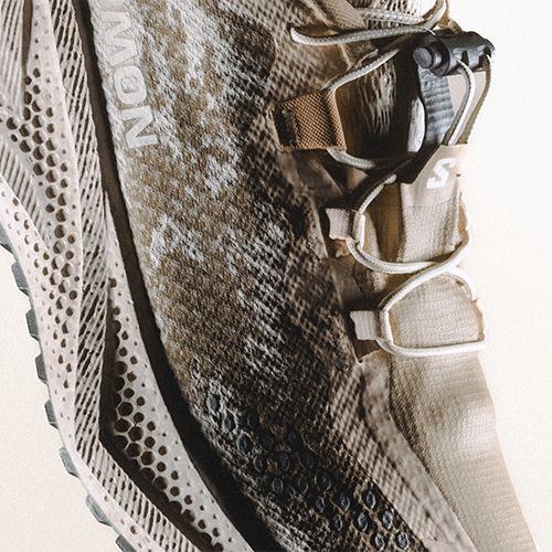 Moteriški bėgimo batai Salomon Aero Glide 4 GRVL tapioca/desert tan