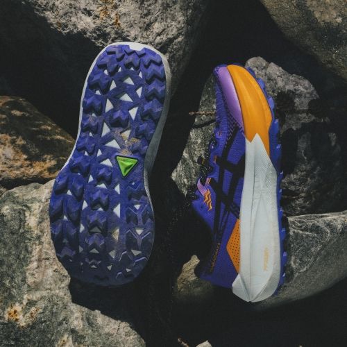 Vyriški bėgimo bateliai ASICS Trabuco Max 5 light dust/cacti