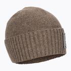 Patagonia Brodeo Beanie kepurė fitz roy trout patch/ash tan trekking cap