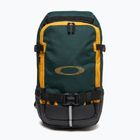 Oakley Peak RC 25 l turistinė kuprinė hunter green