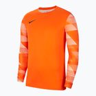 Vyriški Nike Dri-Fit Park IV futbolo marškinėliai oranžinės spalvos CJ6066-819