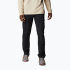 Columbia Silver ridge II cargo 010 black 1794901 vyriškos trekingo kelnės