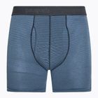 Vyriškos trumpikės Patagonia Essential Boxer Briefs 6" fathom stripe/new navy