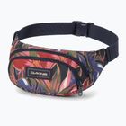 Dakine Hip dark stargazer inkstų krepšys