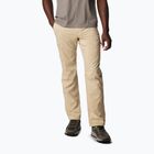 Vyriškos trekingo kelnės Columbia Silver Ridge Utility ancient fossil