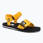 Vyriški sportiniai sandalai The North Face Skeena Sandal yellow NF0A46BGZU31