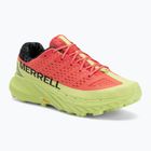 Vyriški bėgimo batai  Merrell Agility Peak 5 blossom/mantis