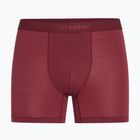 Vyriškos termoaktyvios trumpikės icebreaker Anatomica Boxers port