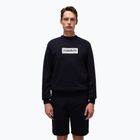 Vyriškas džemperis Napapijri B-Box Logo C black 041