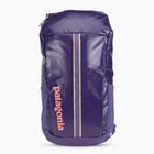 Patagonia Black Hole Pack 25 l turistinė kuprinė perennial purple