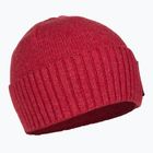 Patagonia Brodeo kepurė su snapeliu Fun hogs armadillo/touring red trekking cap
