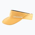 Stogelis Salomon SHAKEout apricot