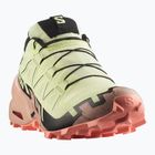Moteriški bėgimo bateliai Salomon Speedcross 6 GTX lime cream/mahogany rose/black