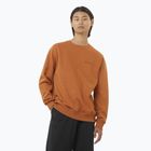 Vyriškas džemperis Salomon Logo Crewneck sierra