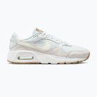 Moteriški batai Nike Air Max SC pearl pink/pink foam/light magenta/sail