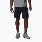 Vyriški žygio šortai Columbia Silver Ridge Utility black