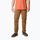 Vyriškos žygio kelnės Columbia Landroamer Twill Cargo delta