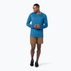 Vyriški Smartwool Merino Sport 120 termo marškinėliai mėlyni SW016546J44