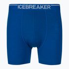 Vyriški terminiai boksininko šortai Icebreaker Anatomica lazurite