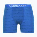 Vyriški terminiai boksininko šortai Icebreaker Anatomica lazurite/midnghtnvy/aop