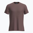 Vyriški žygio marškinėliai icebreaker Merino 125 Cool-Lite Sphere III SS Tee carob heather
