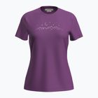Moteriški žygio marškinėliai icebreaker Merino 150 Tech Lite SS Tee Sparkling Stars passion