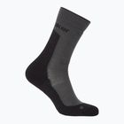 Moteriškos kojinės icebreaker Merino Hike+ Medium Crew obsidian/black