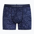 Vyriškos termoaktyvios trumpikės Icebreaker Merino 150 Anatomica Moss Bloom midnight navy/aop