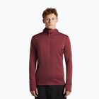 Vyriškas džemperis Icebreaker Merino 260 Quantum IV LS Zip Hoodie port/agate