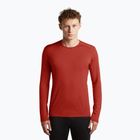 Vyriškas termoaktyvus džemperis Icebreaker 260 Tech Crewe Agate