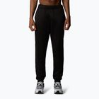 Vyriškos kelnės The North Face Reaxion Fleece Jogger black