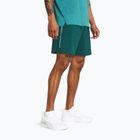 Vyriški treniruočių šortai Under Armour Woven Wdmk hydro teal/radial turquoise