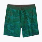 Vyriški maudymosi šortai Patagonia Hydropeak Boardshorts cliffs and coves/conifer green
