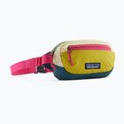 Patagonia Terravia Mini Hip buttercup yellow inkstų maišelis
