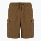 Vyriški šortai Vans Range Cargo Loose Short