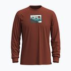 Vyriški marškinėliai ilgomis rankovėmis Smartwool Gondola Ride Graphic pecan brown