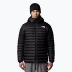 Vyriškos pūkinės striukės The North Face Terra Peak Hoodie black