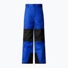 Vaikiškos slidinėjimo kelnės The North Face Freedom Insulated blue