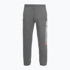Vyriškos kelnės The North Face Varsity Graphic medium grey heather