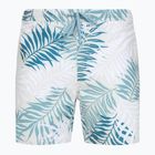 Vyriški maudymosi šortai Quiksilver Wild Fern Volley 17"