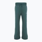 Moteriškos kelnės Nike Sportswear Phoenix Fleece vintage green / sail